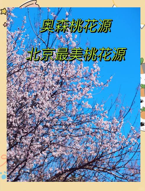 奥森踏青疫情，奥森 景点-第7张图片
