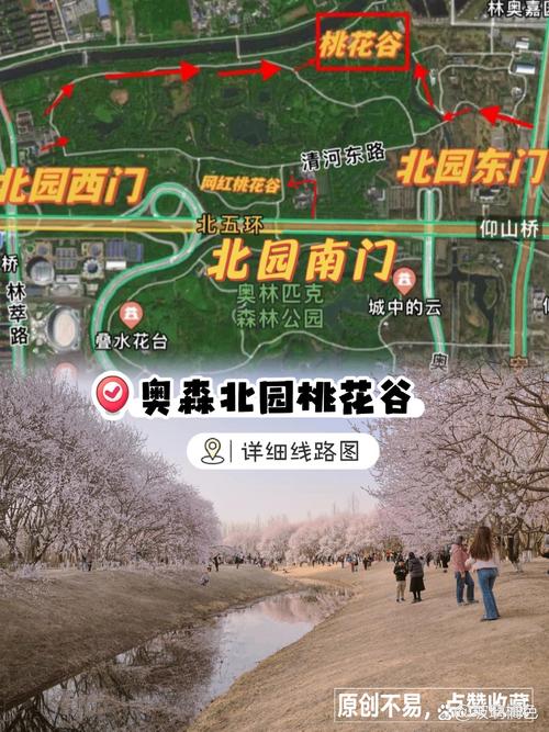 奥森踏青疫情，奥森 景点-第8张图片