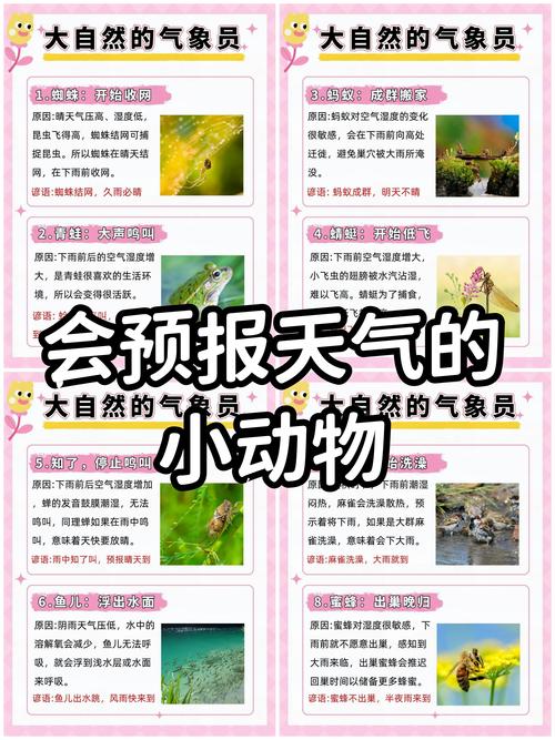 天气预告/天气预告风的图案-第2张图片