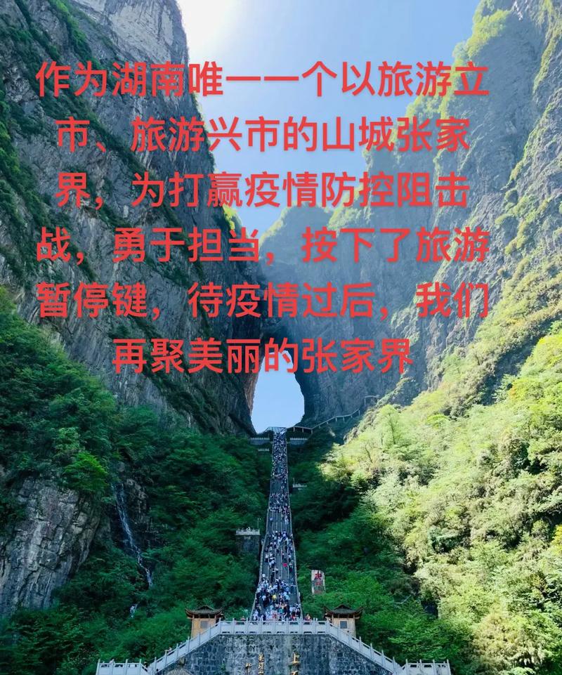 【张家界市疫情/张家界市疫情是哪一年发生的】-第4张图片 【张家界市疫情/张家界市疫情是哪一年发生的】-第4张图片