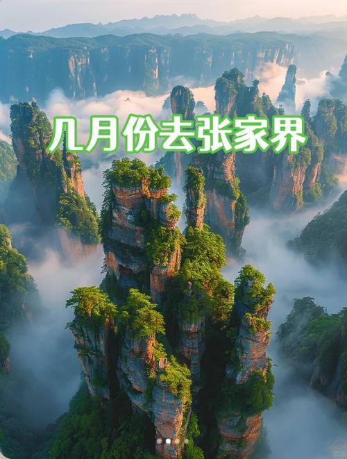 【张家界市疫情/张家界市疫情是哪一年发生的】-第6张图片 【张家界市疫情/张家界市疫情是哪一年发生的】-第6张图片