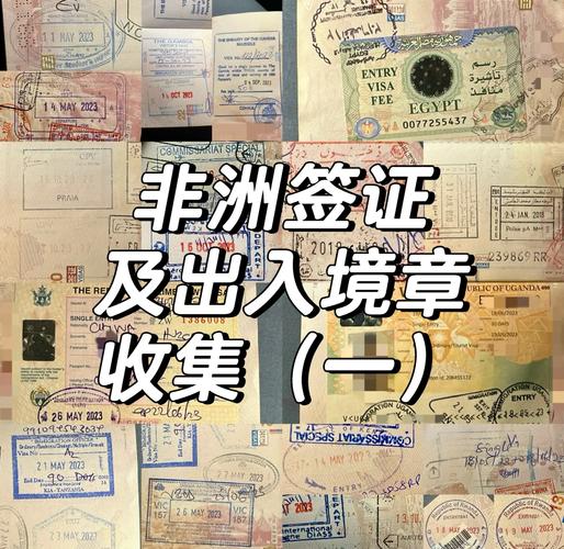 安哥拉新冠疫情/安哥拉新冠疫情最新情况-第4张图片 安哥拉新冠疫情/安哥拉新冠疫情最新情况-第4张图片