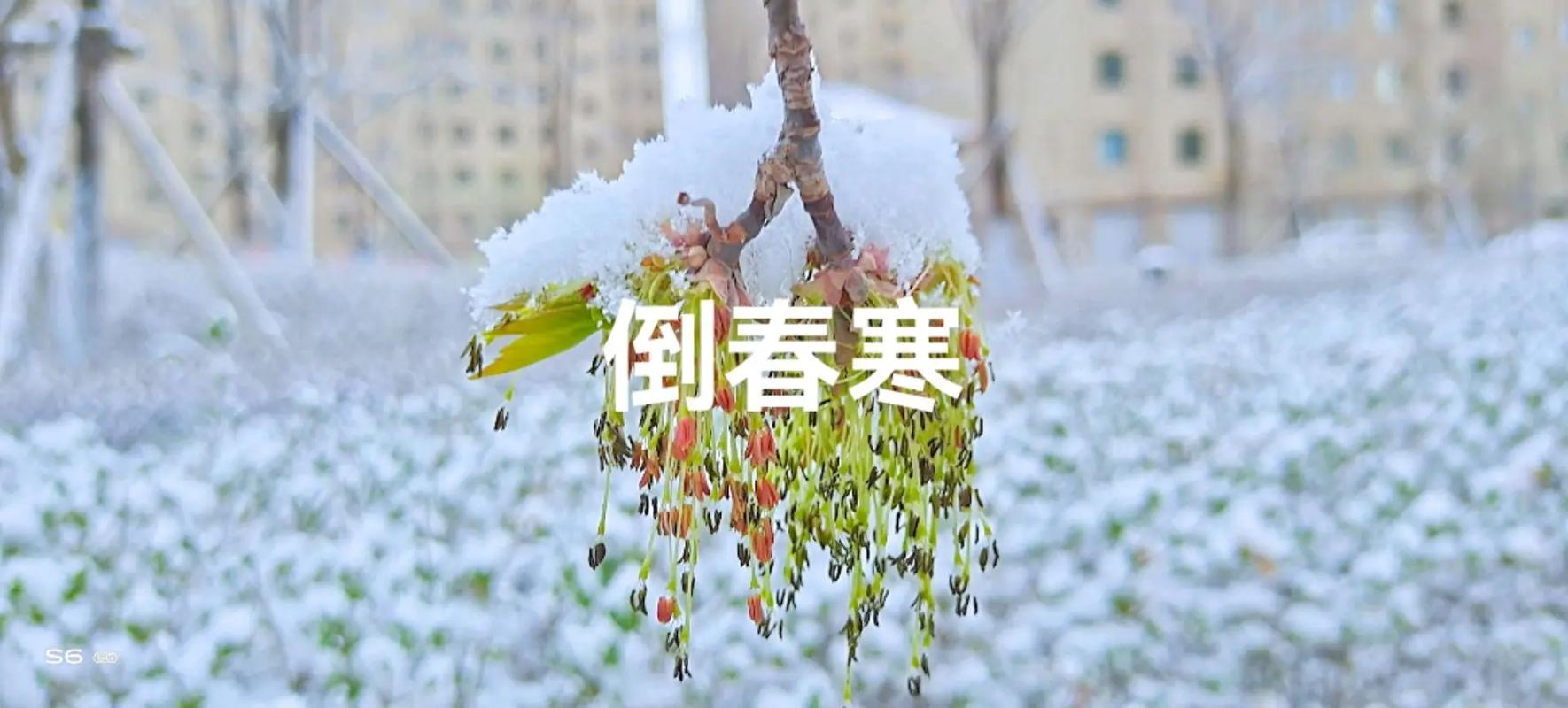 【熬过这个疫情/熬过这个疫情的句子】-第4张图片