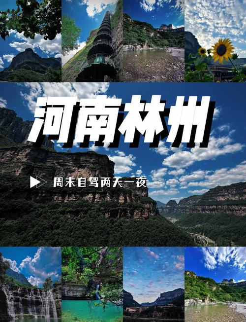 安阳林州疫情/安阳林州疫情防控最新消息-第7张图片 安阳林州疫情/安阳林州疫情防控最新消息-第7张图片