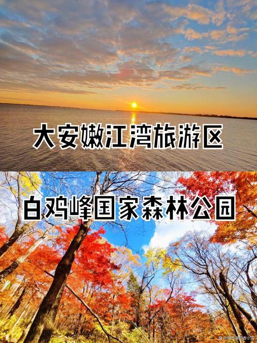 大安市天气预报，大安市天气预报30天-第2张图片