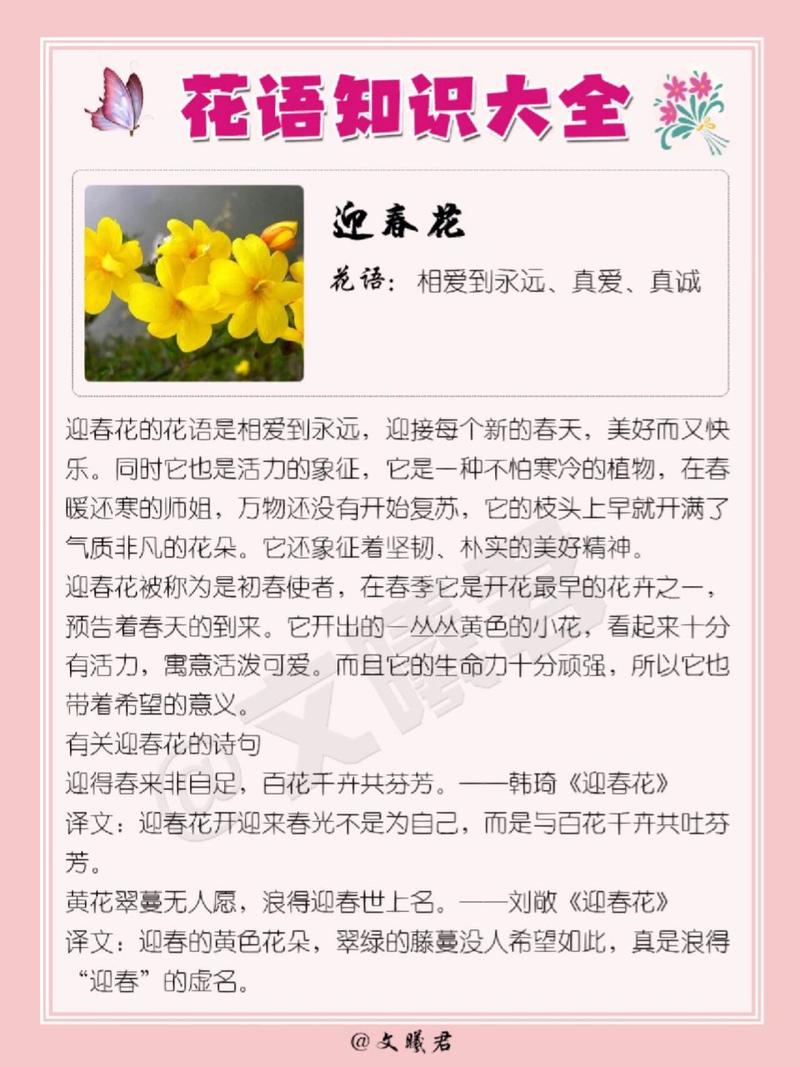 傲霜斗雪疫情，傲霜斗雪书法图片-第5张图片