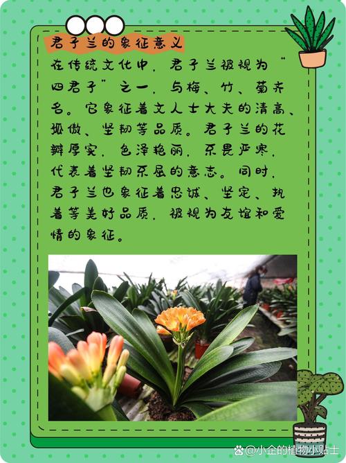 傲霜斗雪疫情，傲霜斗雪书法图片-第7张图片