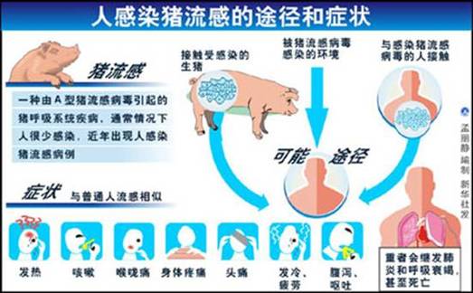 2009全球疫情,2003年全球疫情-第6张图片 2009全球疫情,2003年全球疫情-第6张图片