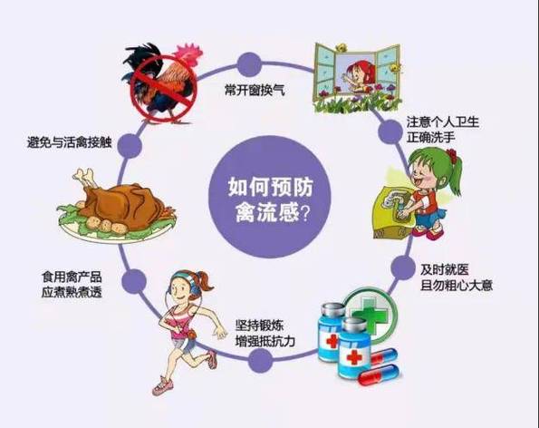 【2017全国禽流感疫情/17年禽流感爆发的情况】-第9张图片
