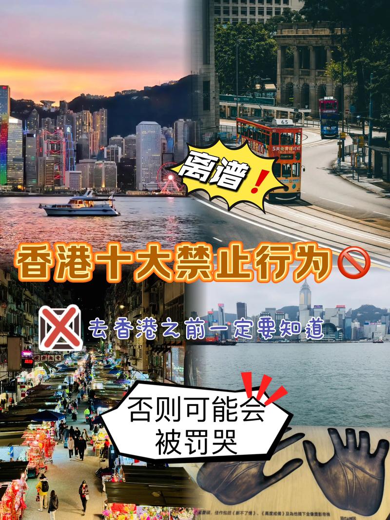关于“香港疫情数据”你可能想知道-第2张图片 关于“香港疫情数据”你可能想知道-第2张图片