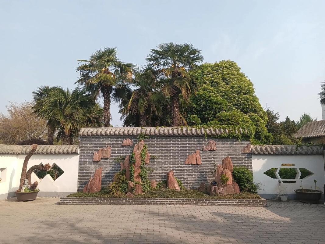 安阳华强疫情，安阳华强城新冠肺炎