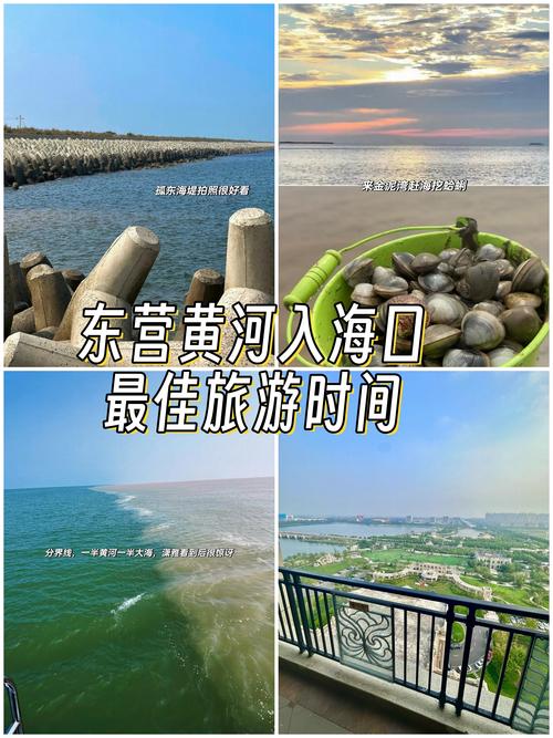 广饶县天气预报-广饶县天气预报最新-第7张图片 广饶县天气预报-广饶县天气预报最新-第7张图片