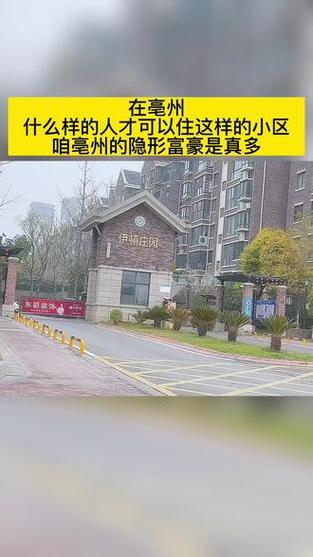 安徽亳州有疫情-安徽亳州疫情期间网课在哪个平台上-第3张图片
