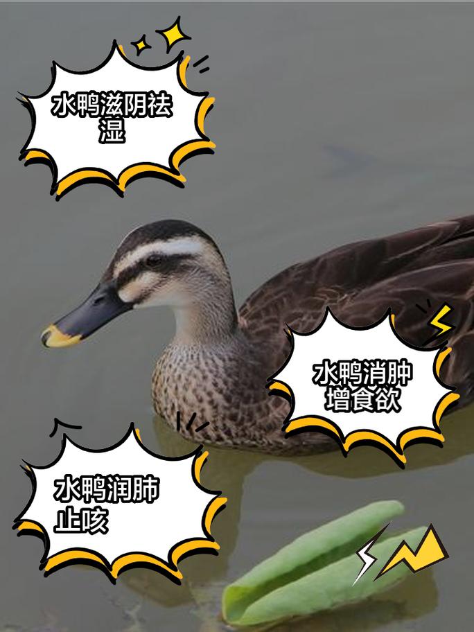 安庆疫情举报,安庆防疫举报电话-第3张图片 安庆疫情举报,安庆防疫举报电话-第3张图片