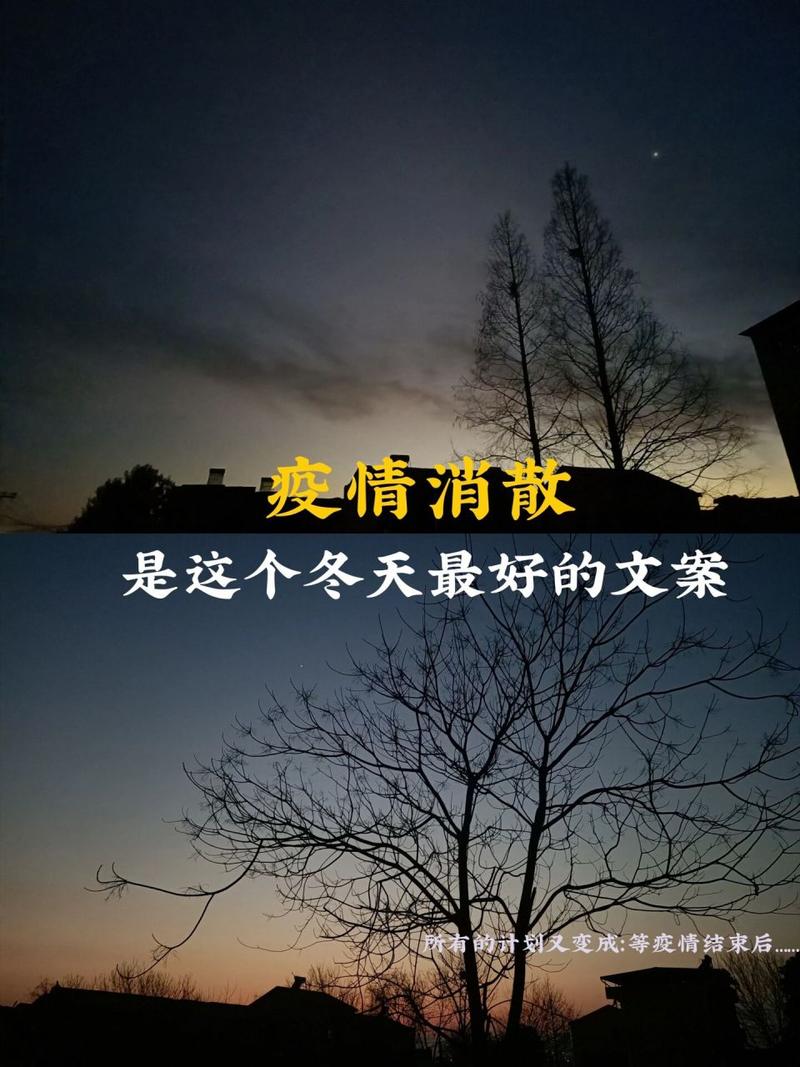 关于“安康疫情治愈”你可能想知道-第2张图片 关于“安康疫情治愈”你可能想知道-第2张图片