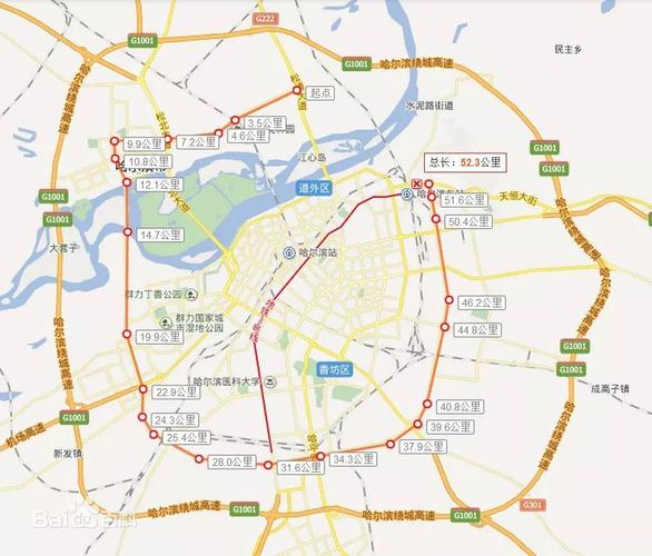 关于黑L限行的信息-第6张图片