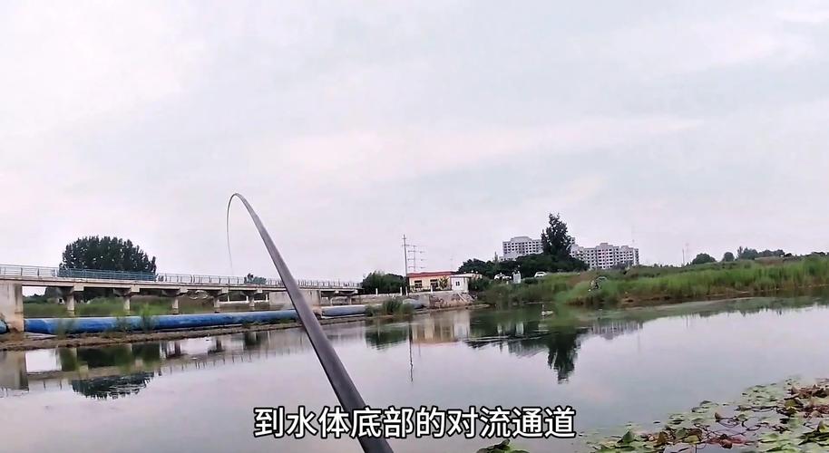 关于“嘉定天气”你可能想知道-第6张图片 关于“嘉定天气”你可能想知道-第6张图片