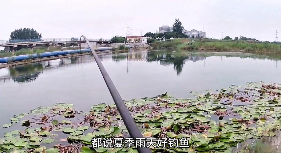 关于“嘉定天气”你可能想知道-第8张图片 关于“嘉定天气”你可能想知道-第8张图片