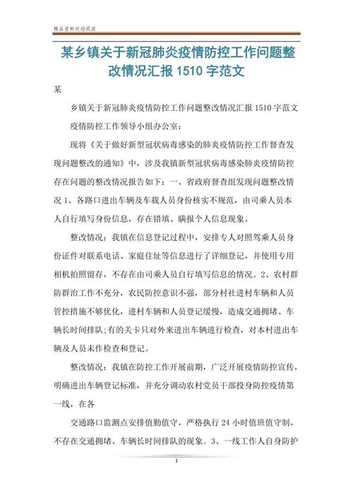 【暗访武汉疫情/武汉疫情访谈录】