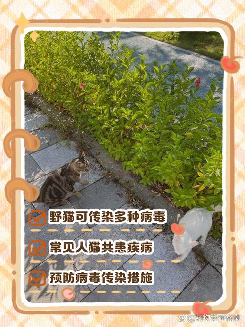 【加拿大新冠疫情最新情况/加拿大新冠状病毒疫情最新消息】-第4张图片 【加拿大新冠疫情最新情况/加拿大新冠状病毒疫情最新消息】-第4张图片