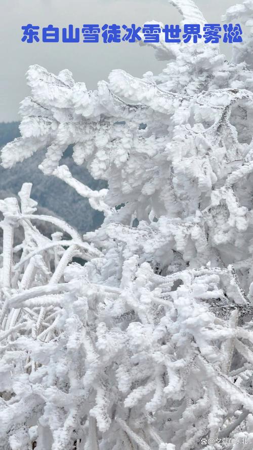 关于“白山天气预报”你可能想知道-第8张图片